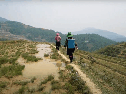 Sapa Adventure: Exploring Thrilling Experiences in the Scenic Mountains of Vietnam