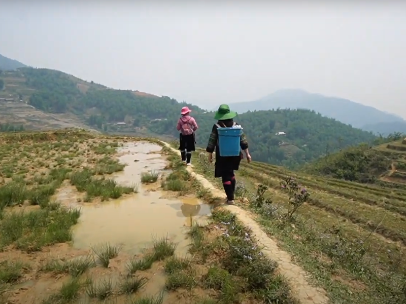 Sapa Adventure: Exploring Thrilling Experiences in the Scenic Mountains of Vietnam