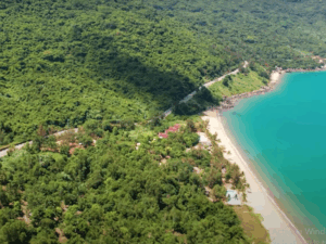 Son Tra Peninsula – The Green Jewel of Da Nang
