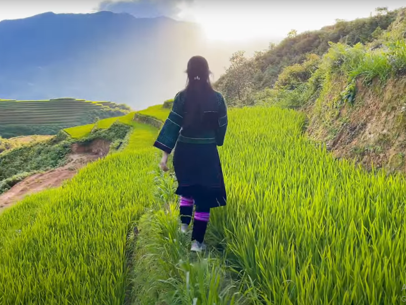 Sapa Unveiled A Comprehensive Travel Guide for the Adventurous Soul
