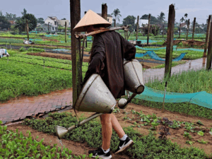 Tra Que Vegetable Village in Hoi An