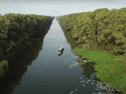 Tram Chim National Park – Ho Chi Minh City – Hanoi by flight – Xuan Thuy National Park