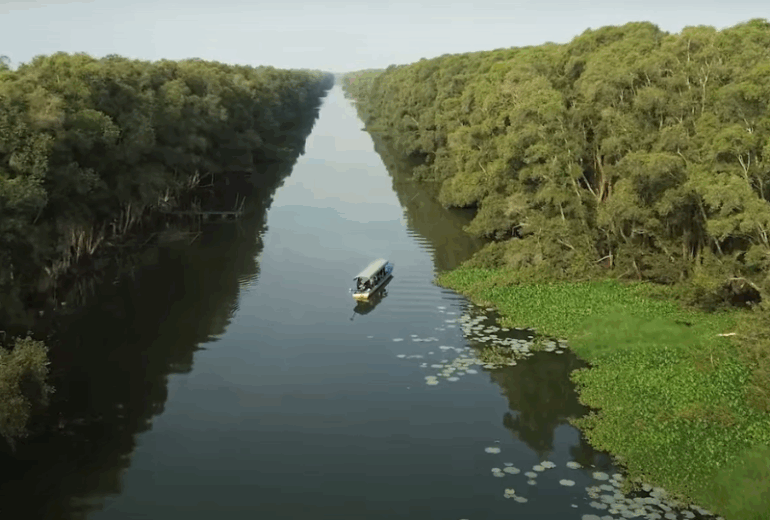 Tram Chim National Park – Ho Chi Minh City – Hanoi by flight – Xuan Thuy National Park