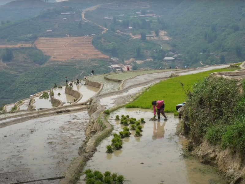 Hanoi to Sapa & Halong: Unmissable Vietnam Adventure