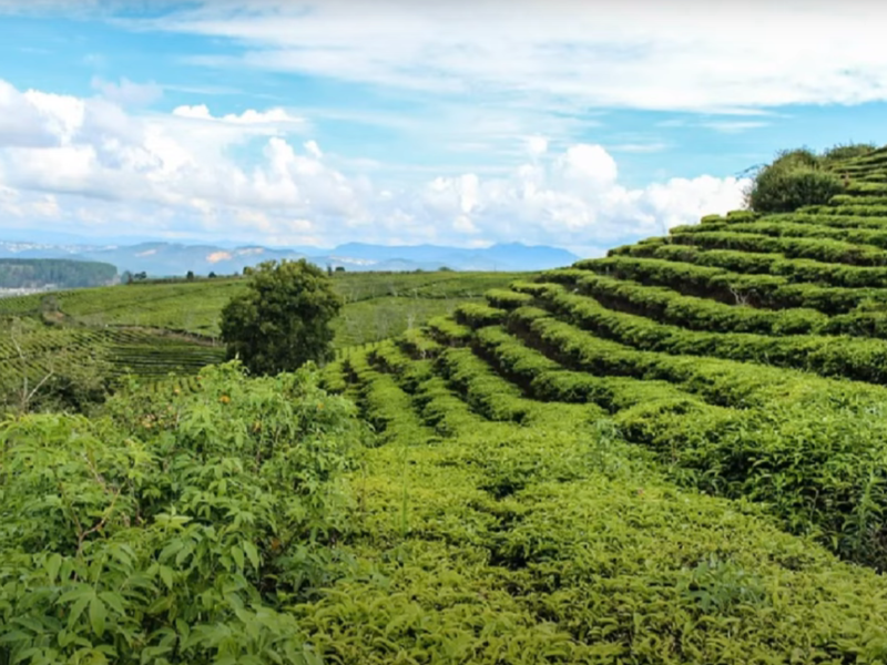 Vietnam Geography: Exploring the Land of the Dragon