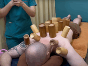 Vietnam Traditional Medicine