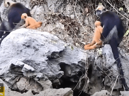 Discovering the Beauty of Vietnam National Parks