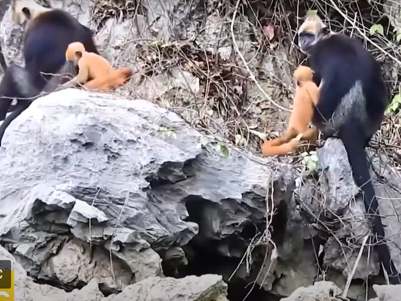 Discovering the Beauty of Vietnam National Parks