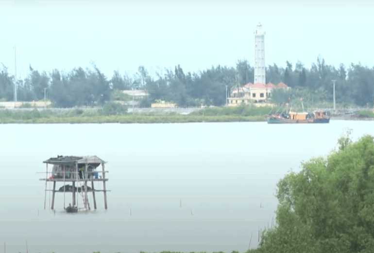 Xuan Thuy National Park – Boat Trip Thru Mangrove Forest