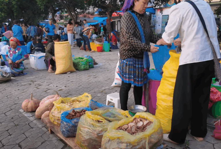 Lao Cai – Bac Ha Sunday Market – Sapa