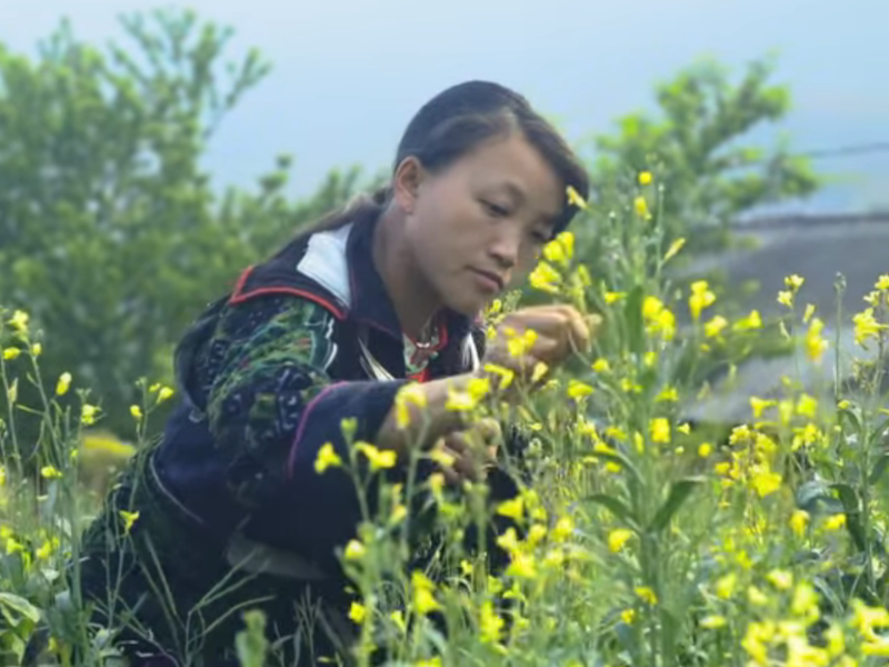 Escape to Adventure and Culture in Mai Chau