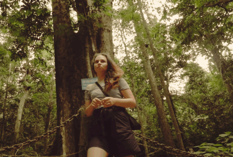 Hanoi – Cuc Phuong National park