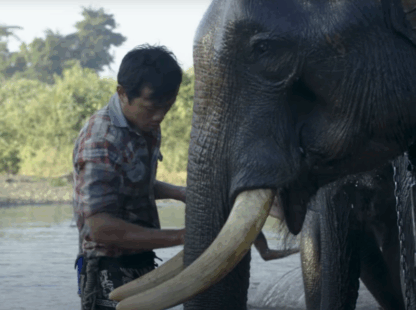 A day at Elephant Camp – Inle Lake