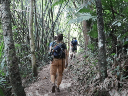 Huay Xai – Gibbon experience