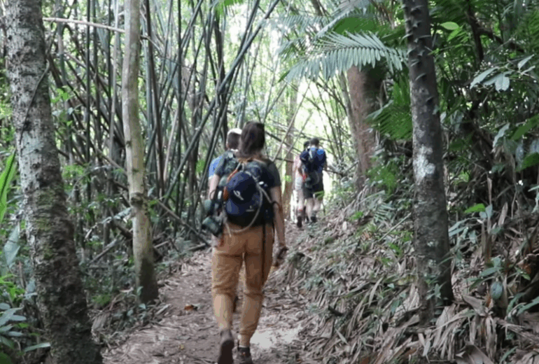 Huay Xai – Gibbon experience