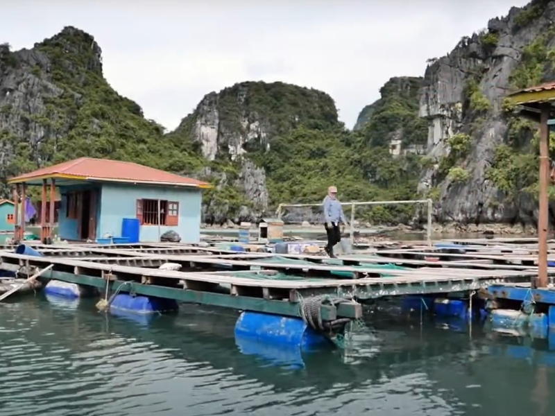 Halong Bay Fishing Village Tour