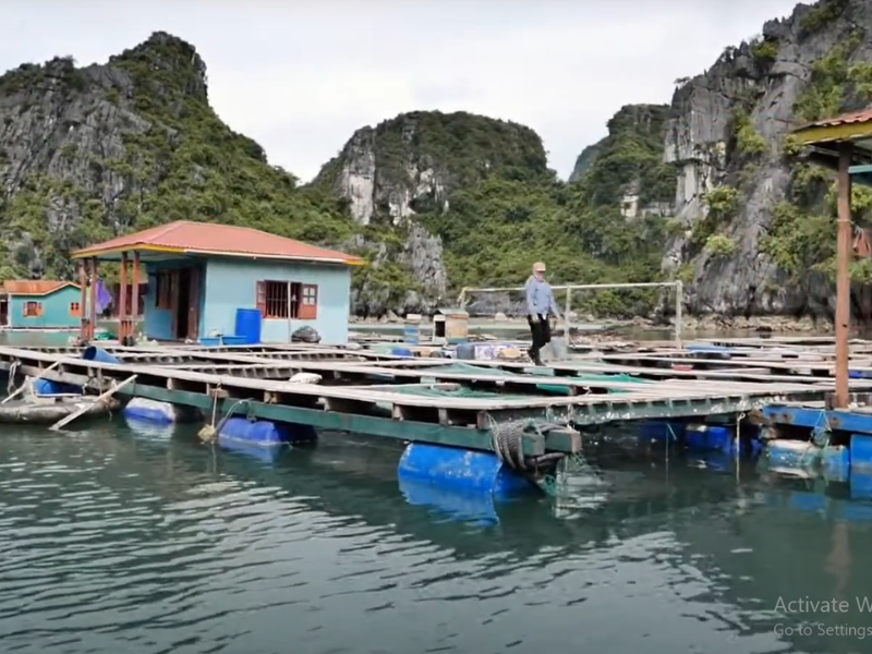 Halong Bay Fishing Village
