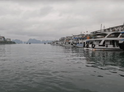 Halong Booking: The act or process of reserving accommodations or services in Halong Bay.