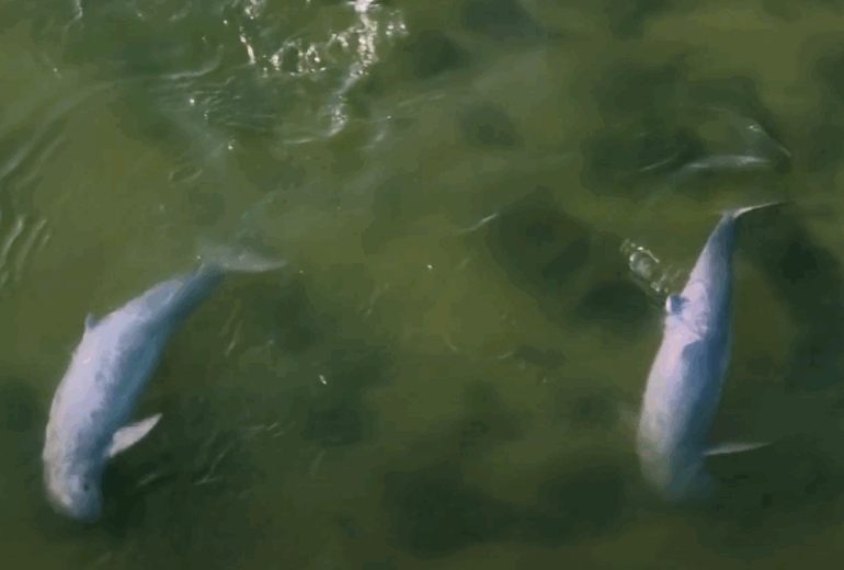 Kompong Thom – Kratie