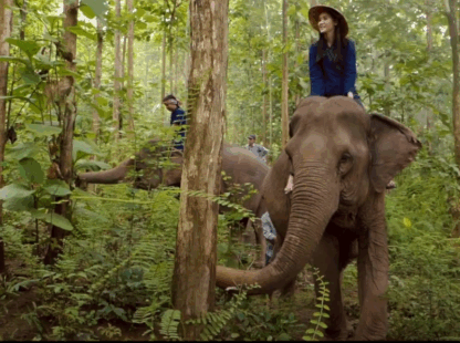 Stung Treng – Mondolkiri