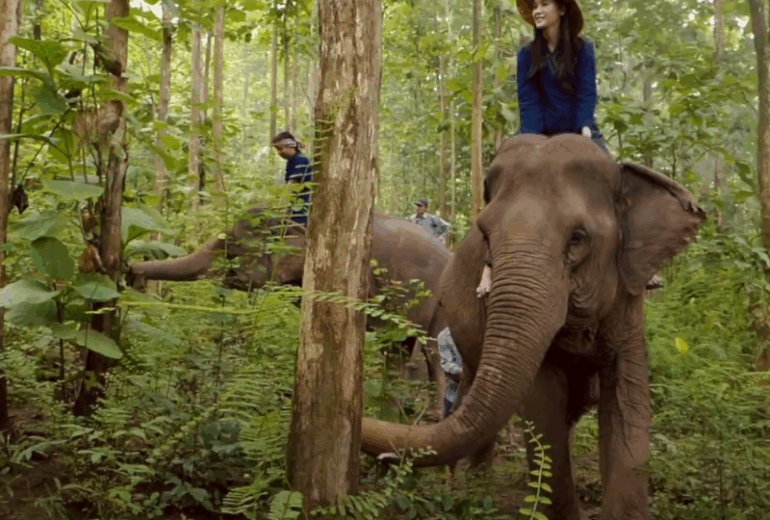 Stung Treng – Mondolkiri