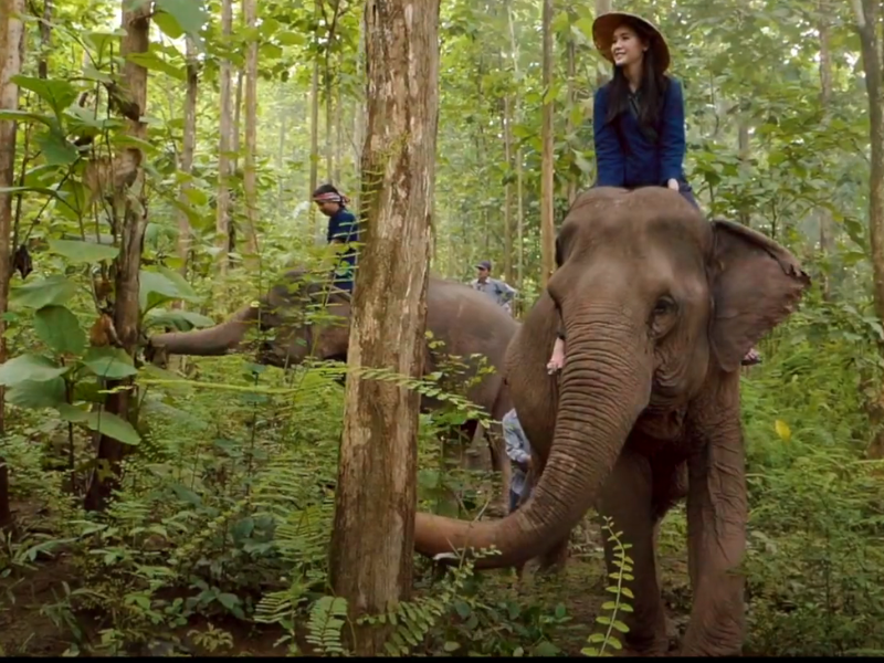 Unveiling the Alluring Landscapes: Top Must-See Destinations in Vietnam and Cambodia.