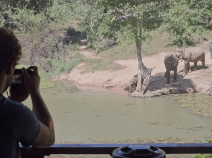 Transfer to the Elephant Conservation Centre