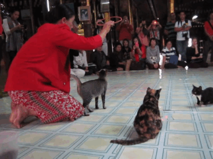 Mandalay – Heho – Inle Lake