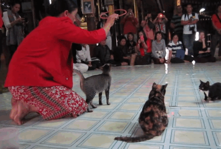 Mandalay – Heho – Inle Lake