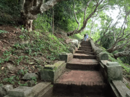 Full Day Jungle Trek