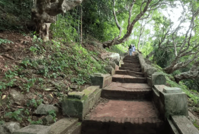 Full Day Jungle Trek