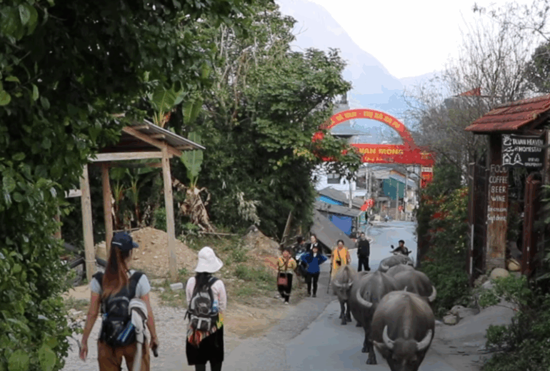 Sapa Trekking – Homestay in Ta Van
