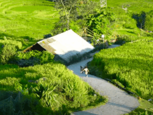 Sapa Vietnam Trip Guide