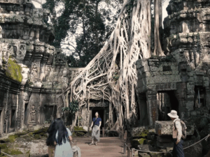 Ta Prohm Temple Cambodia