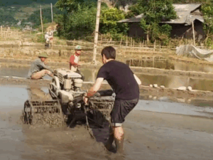 Vietnam Farming Tour