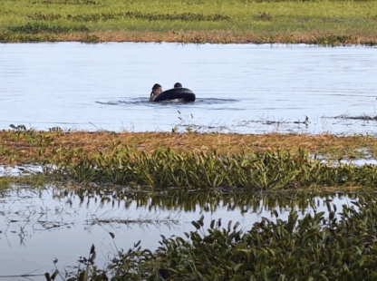 Yangon – Thanlyin – Yangon Departure