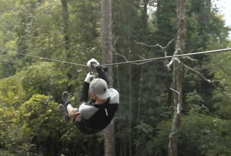 …and Zipline Back