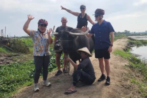 Tourists experiencing a traditional water buffalo ride in Hoi An countryside Vietnam